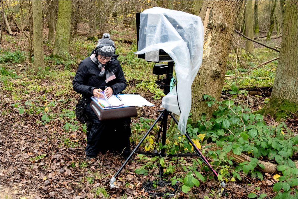 Originated by DLP Studio 101