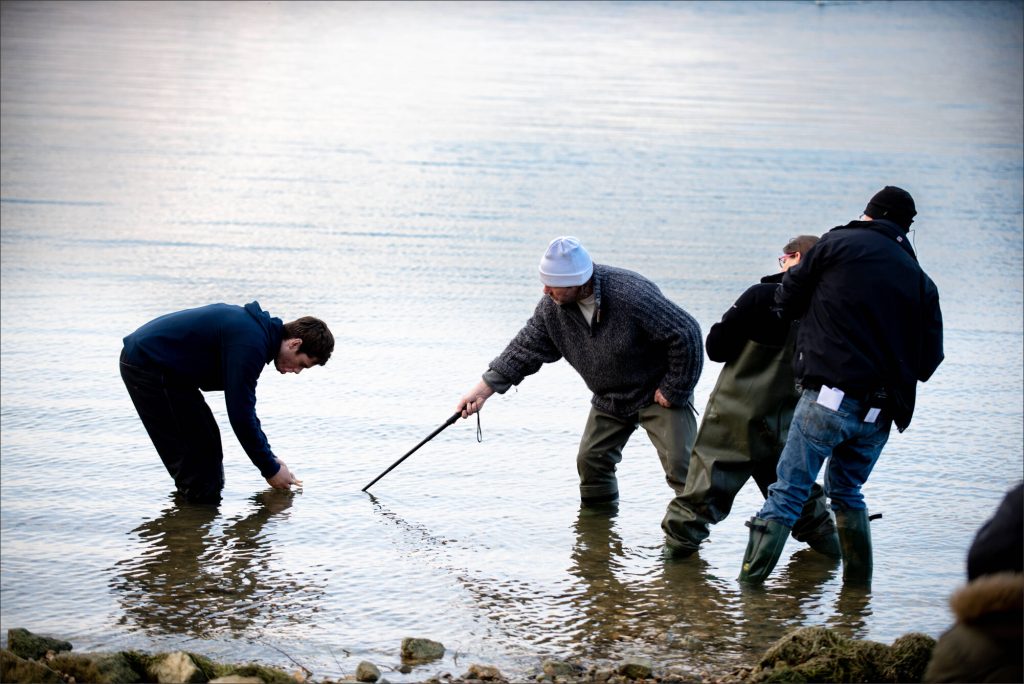 Originated by DLP Studio 101